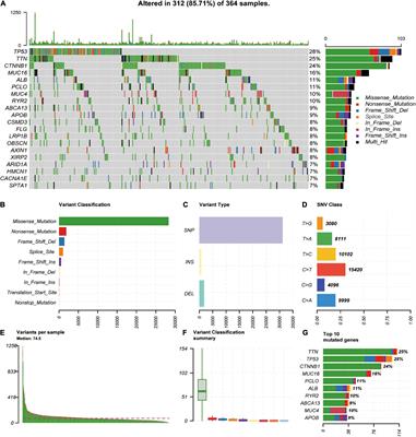 Identification of Key Regulators of Hepatitis C Virus-Induced Hepatocellular Carcinoma by Integrating Whole-Genome and Transcriptome Sequencing Data